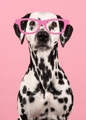 Staff member Donna Ratcliff from 1ce5d7cec43d