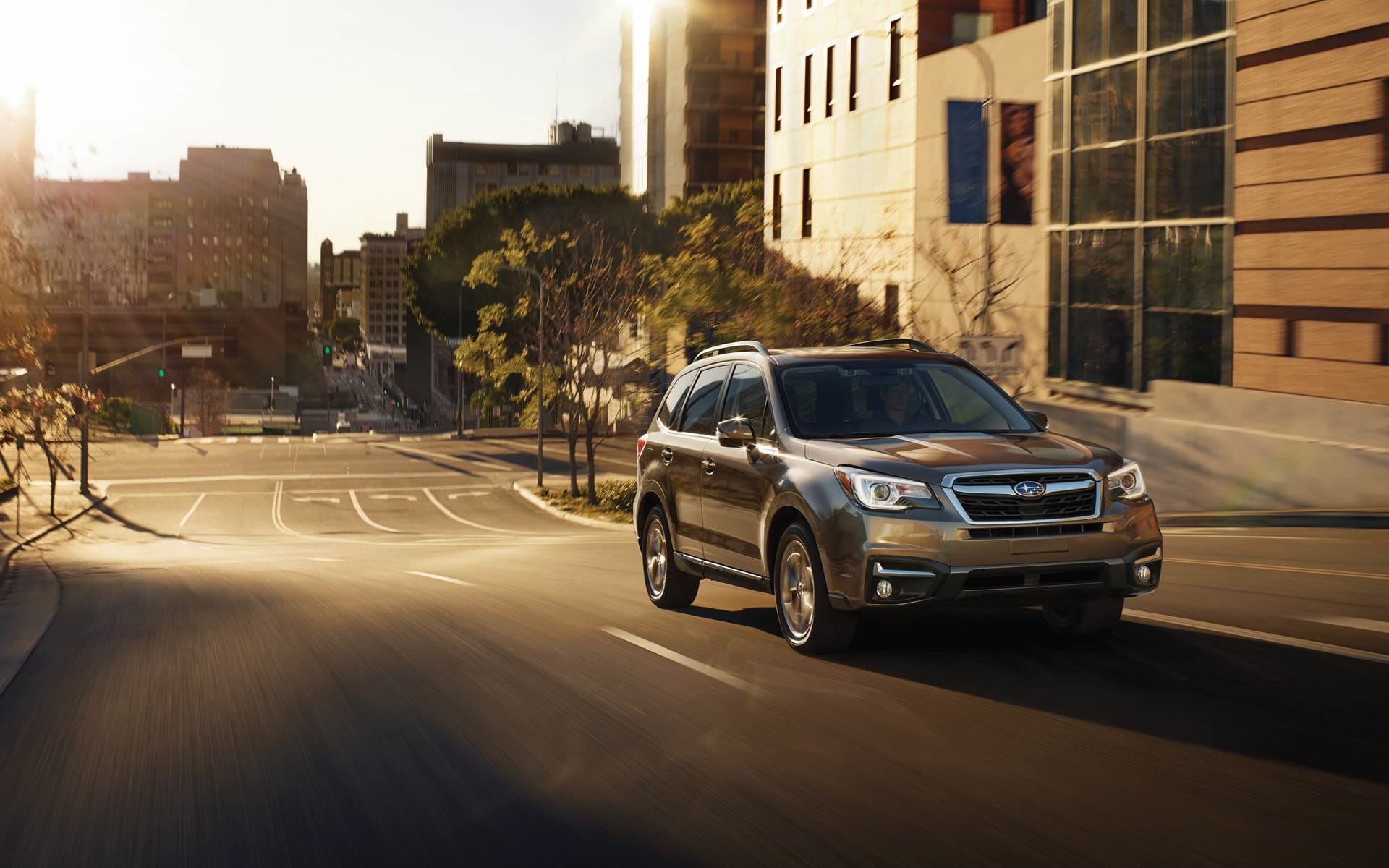 Subaru Dealerships
Serving LA Introduce The New 2017 Subaru Forester