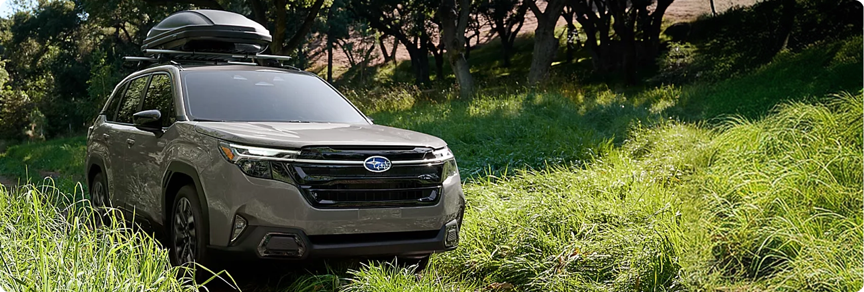 A gray Subaru Forester with a roof cargo box parked in a grassy meadow