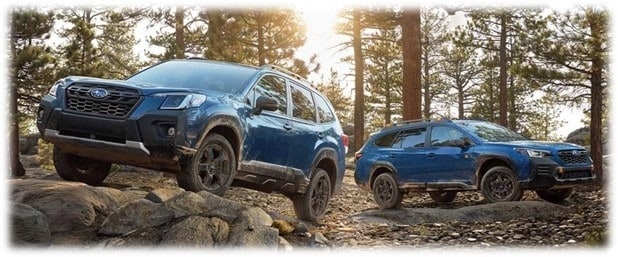 Embrace%20Adventure%20with%20Subaru%20Wilderness%20Edition%20Models.jfif