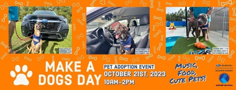 Subaru Loves Pets Join Us to Make a Dog's Day in October!.jpg