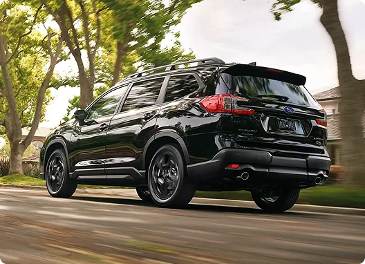 A Subaru Ascent with a roof-mounted cargo box parked among tall trees