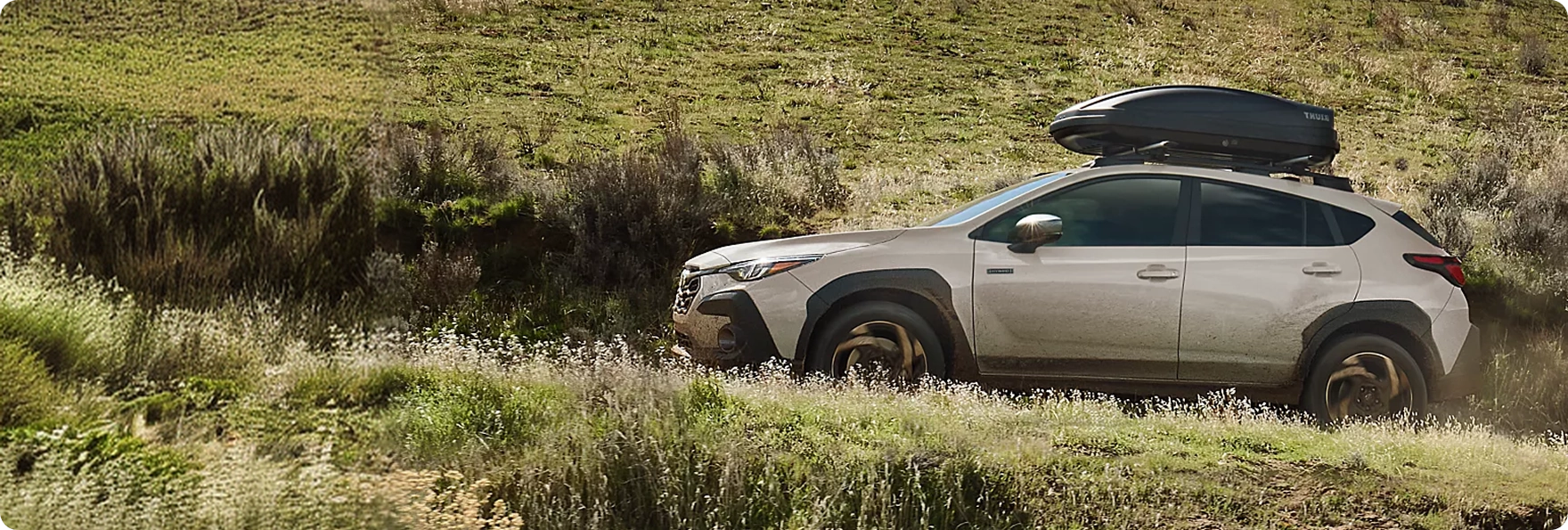 A champagne Subaru Crosstrek with a roof cargo box parked in a grassy meadow