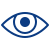 Vision Icon