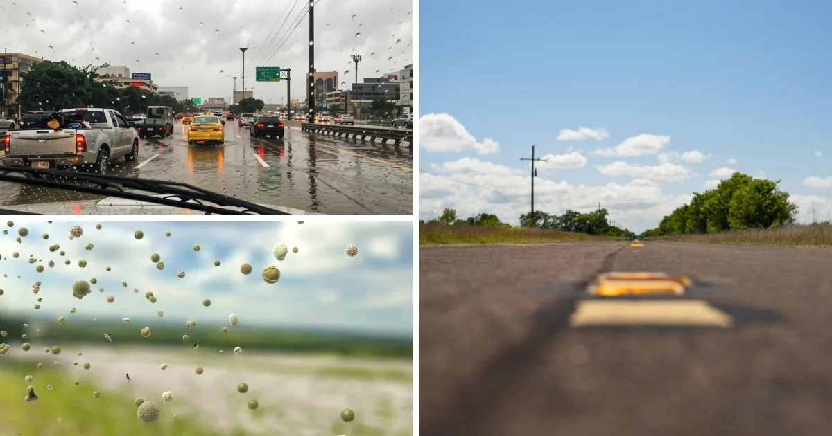 Heavy rain and standing water, pollen season, and the hot, humid weather in Covington, Louisiana can shorten your Subaru Forester’s service intervals