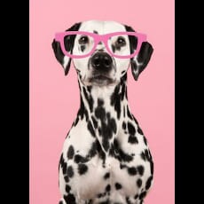 Staff member Donna Ratcliff from ID_0fe505