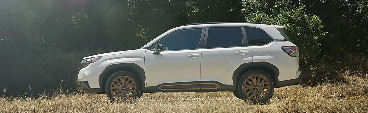 A white Subaru Forester Wilderness parked in a sunlit meadow beside tall grass
