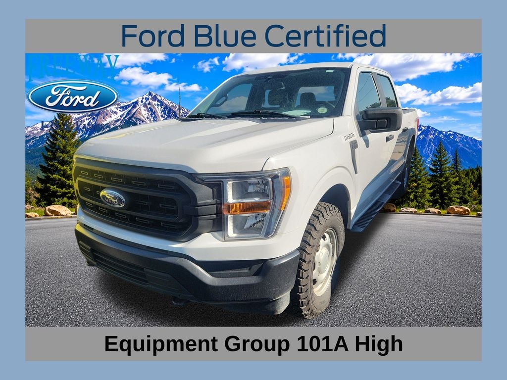 Used 2022 Ford F-150 XL Truck