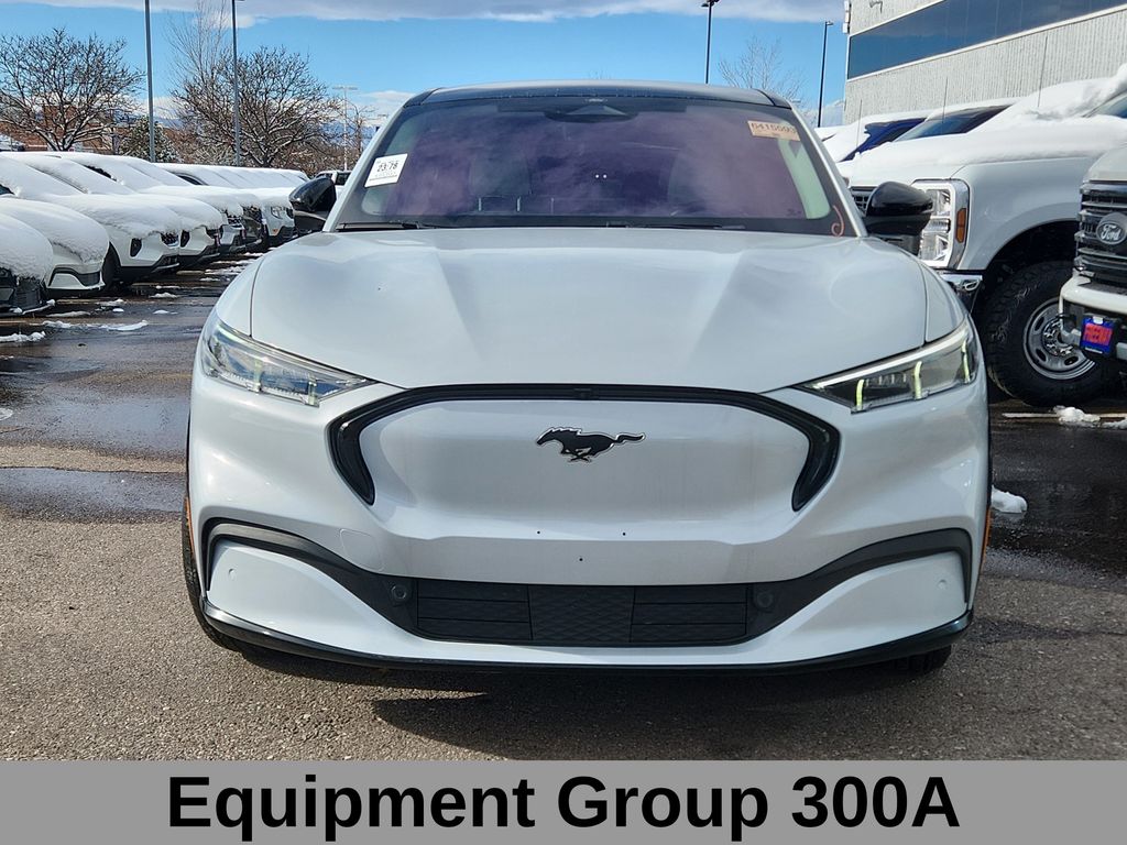 2021 Ford Mustang Mach-E Premium photo 2