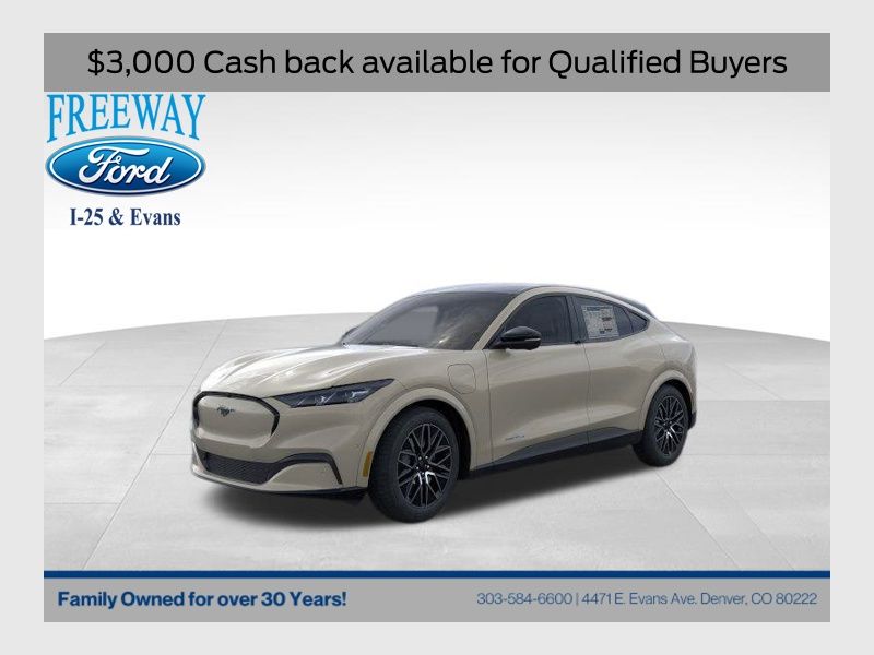 2025 Ford Mustang Mach-E Premium AWD's photo