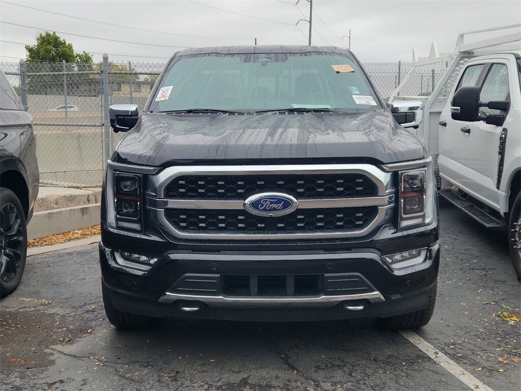 2022 Ford F-150 Platinum photo 2