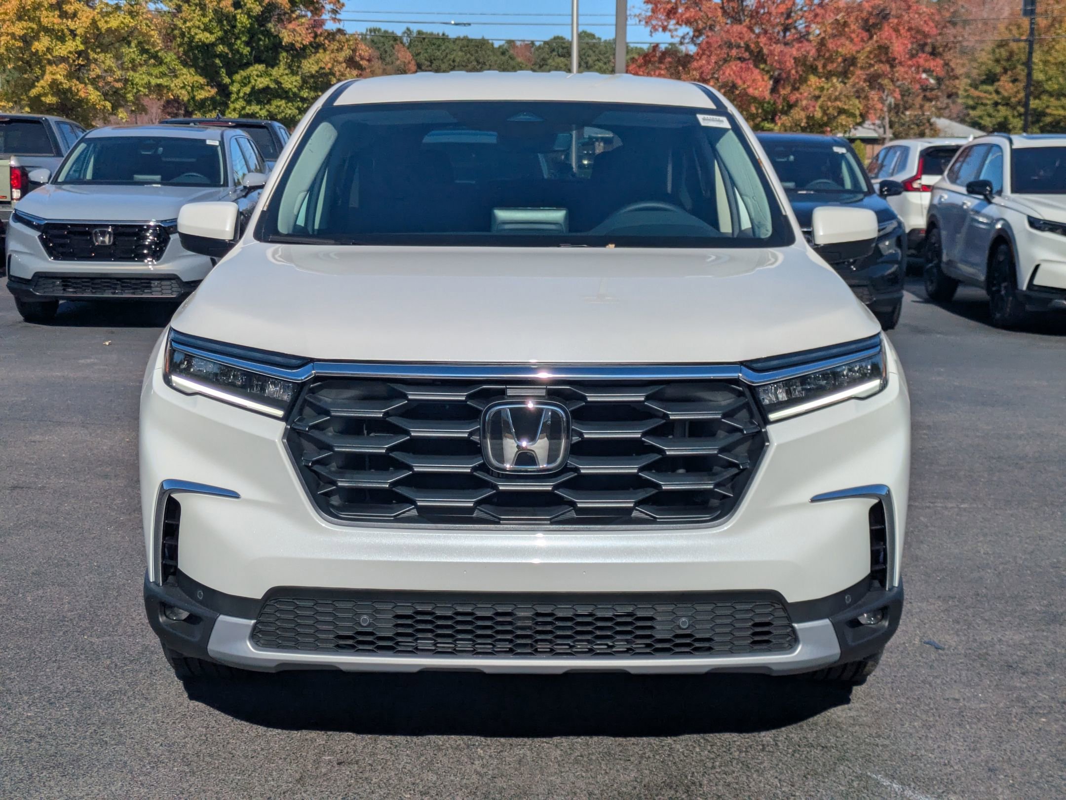 2025 Honda Pilot EX-L photo 3