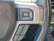 2020 Ford F-150 Platinum Truck SuperCrew Cab