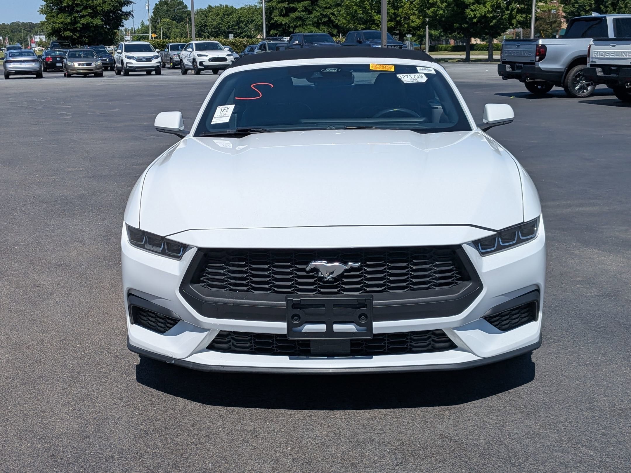 2024 Ford Mustang EcoBoost Premium photo 2