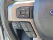 2020 Ford F-150 Platinum Truck SuperCrew Cab