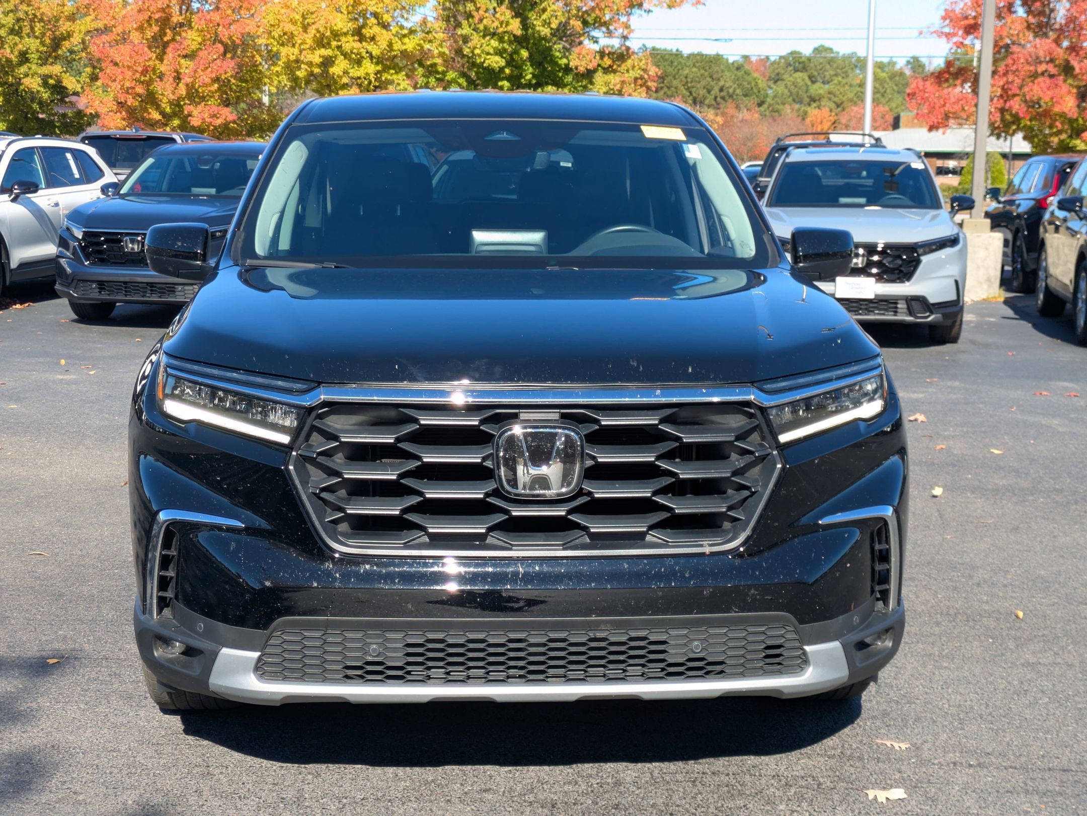 2023 Honda Pilot EX-L photo 2