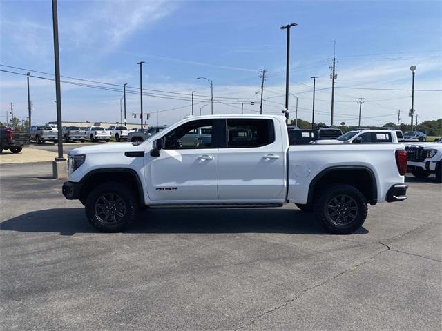 2025 Gmc Sierra 1500 AT4X photo 3