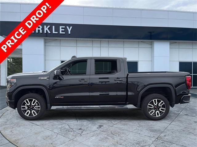 2024 Gmc Sierra 1500 AT4 photo 2