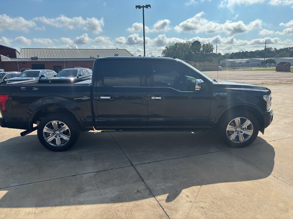 2019 Ford F-150 Platinum photo 3