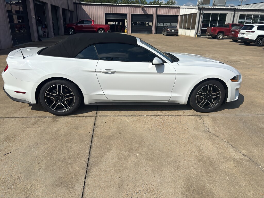2022 Ford Mustang EcoBoost Premium photo 3