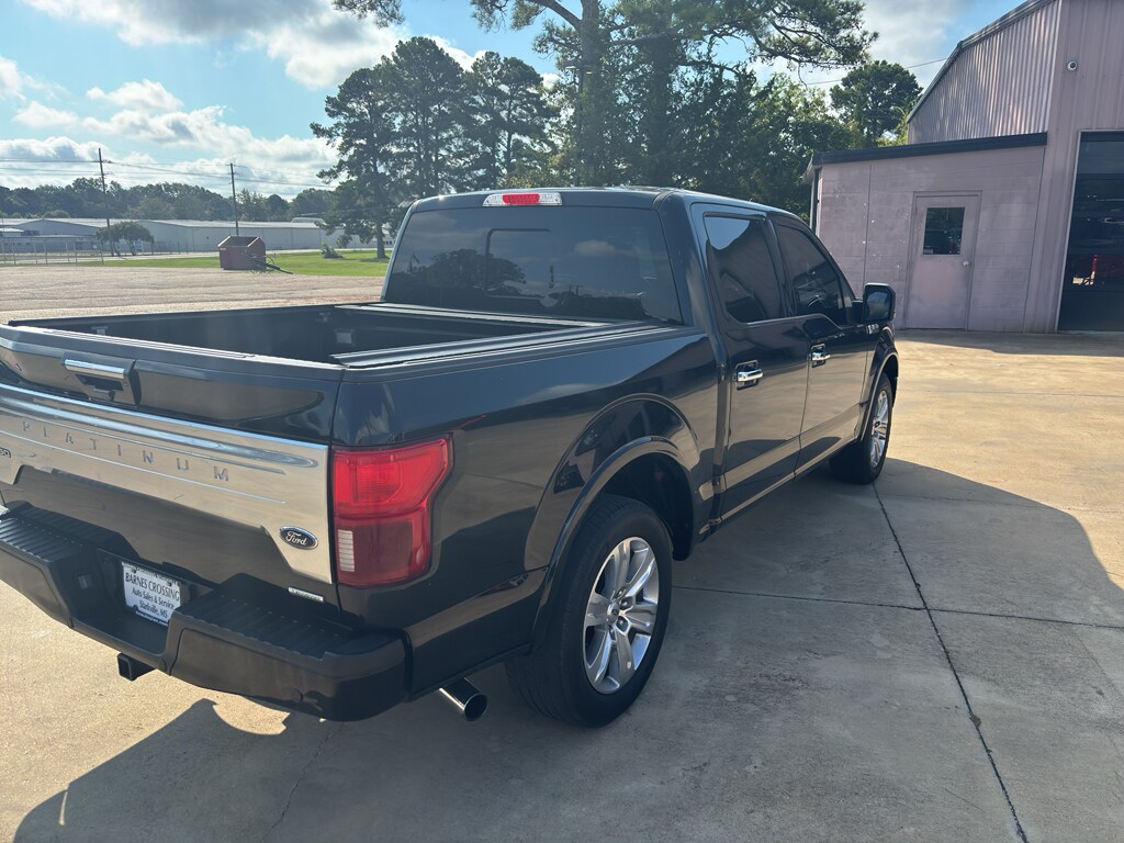 2019 Ford F-150 Platinum photo 4