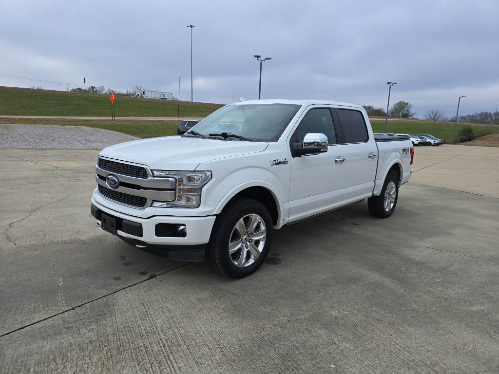 2020 Ford F-150 Platinum's photo