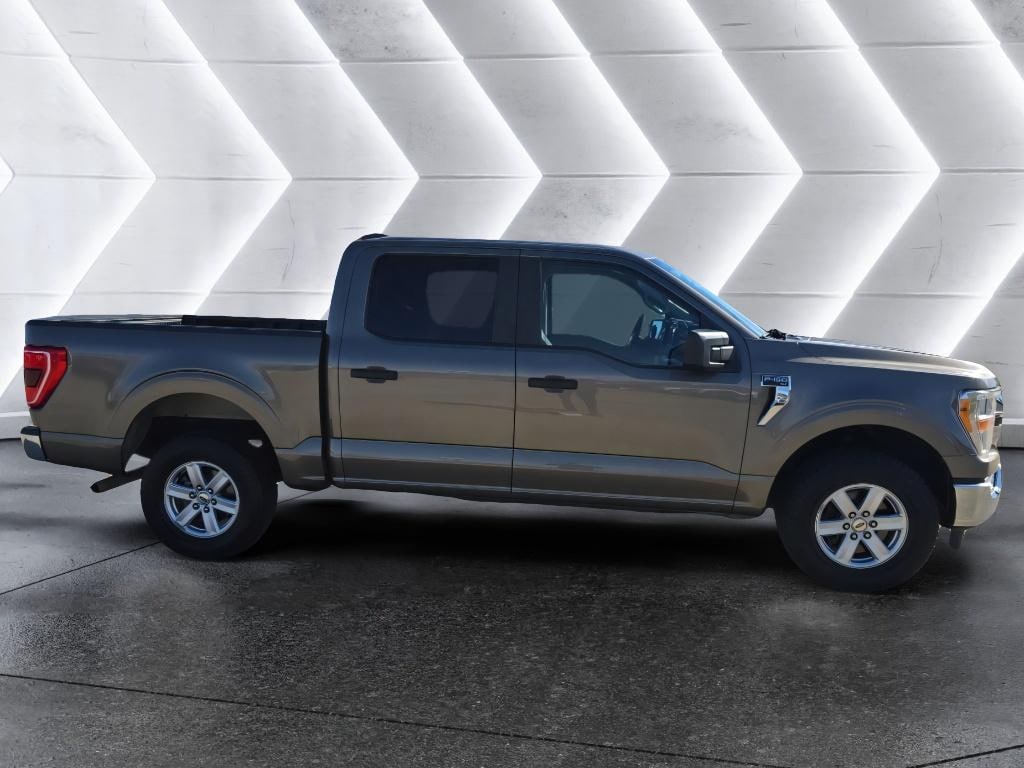 Used 2021 Ford F-150 XLT Truck