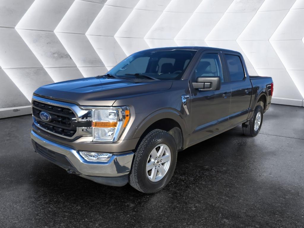 2021 Ford F-150 XLT's photo