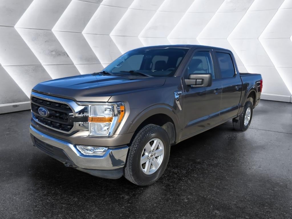 Used 2021 Ford F-150 XLT Truck