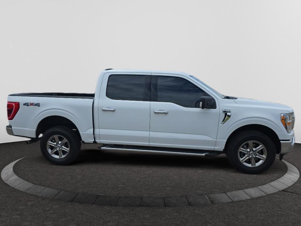 2023 Ford F-150 XLT photo 4