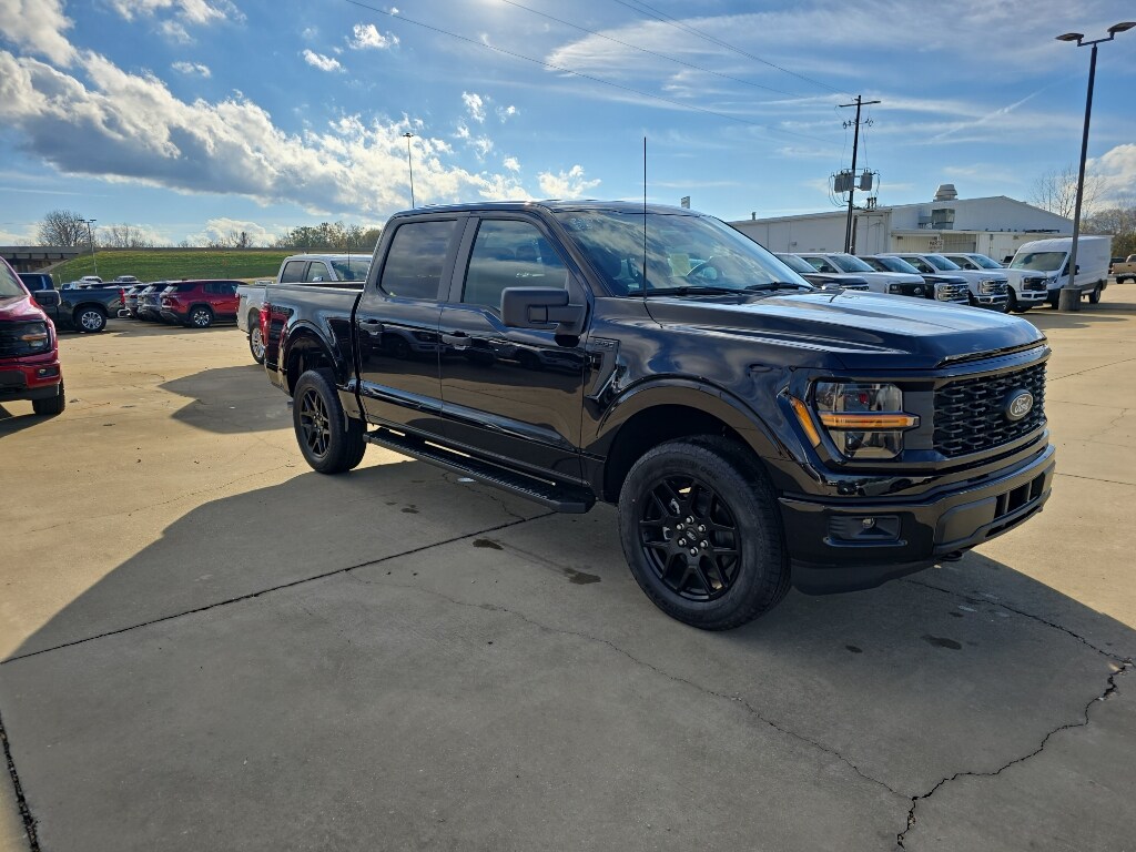 2025 Ford F-150 STX photo 3
