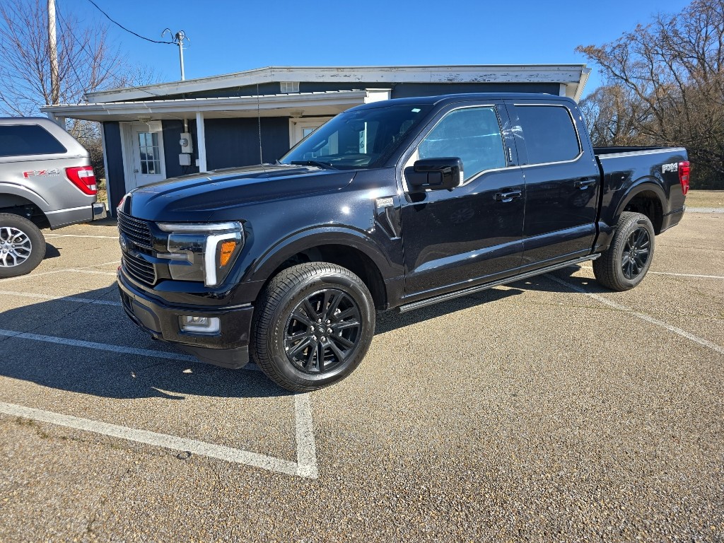 2024 Ford F-150 Platinum's photo