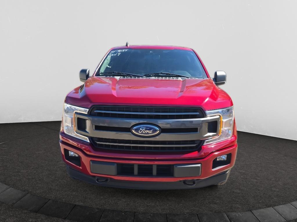 Used 2019 Ford F-150 XLT Truck SuperCrew Cab