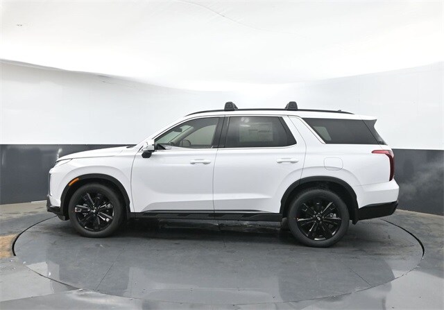 2025 Hyundai Palisade XRT photo 4