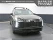 New 2025 Hyundai Palisade XRT AWD SUV