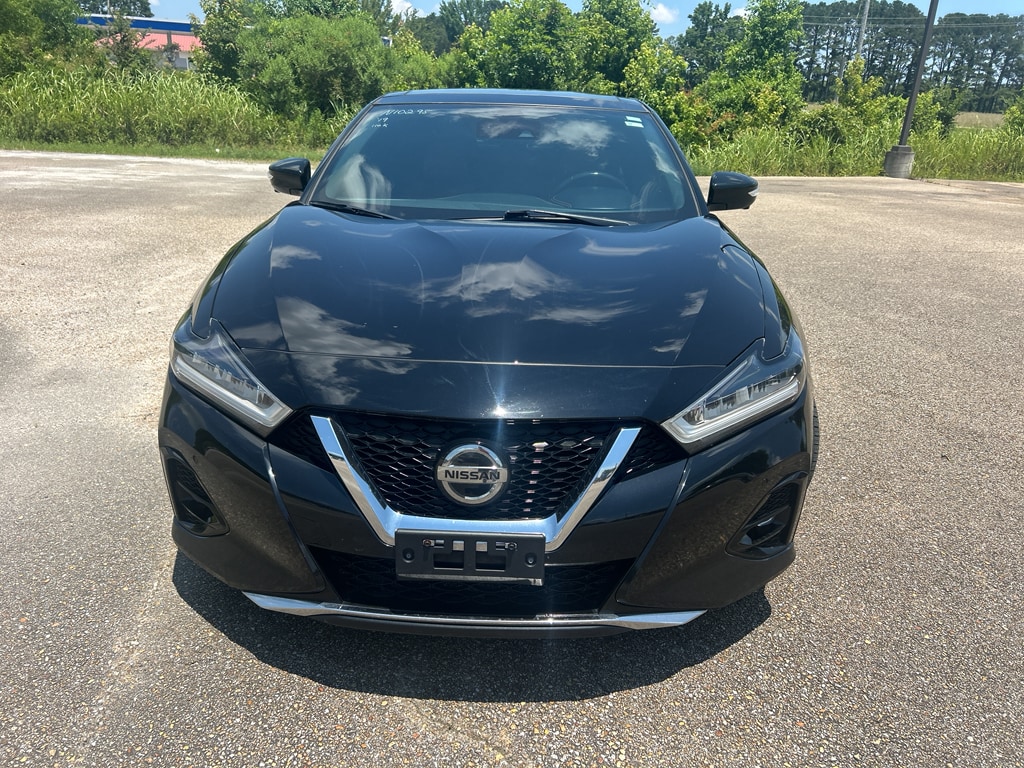Used 2019 Nissan Maxima Platinum with VIN 1N4AA6AV1KC383081 for sale in Saltillo, MS