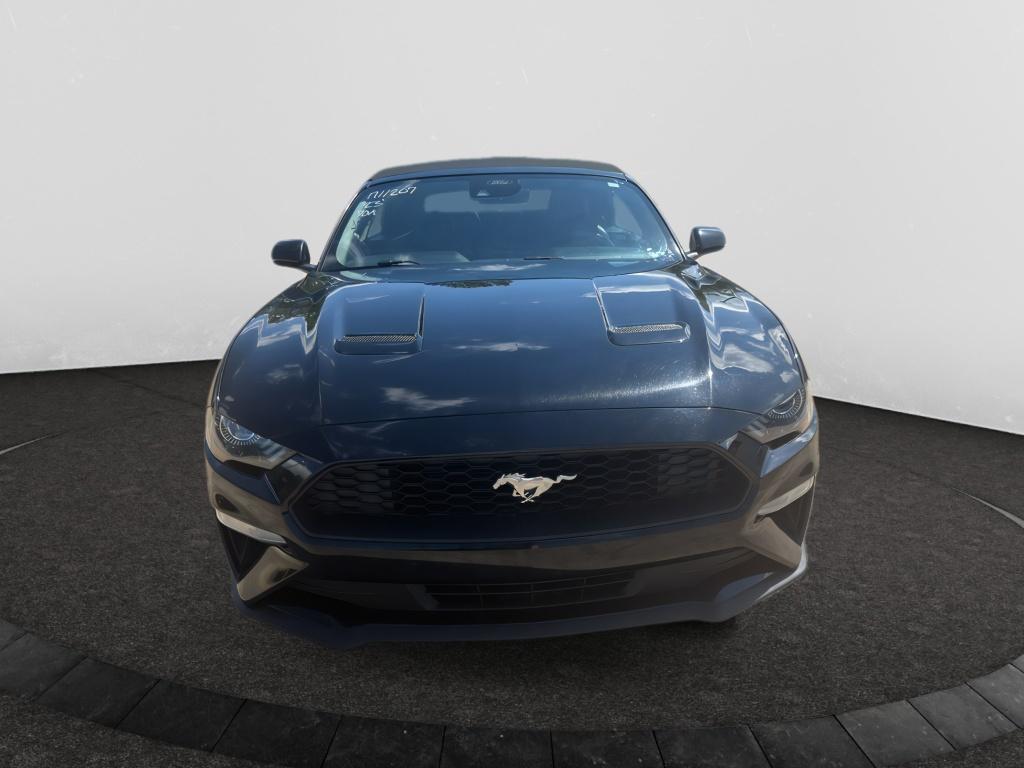 2023 Ford Mustang EcoBoost Premium Convertible's photo
