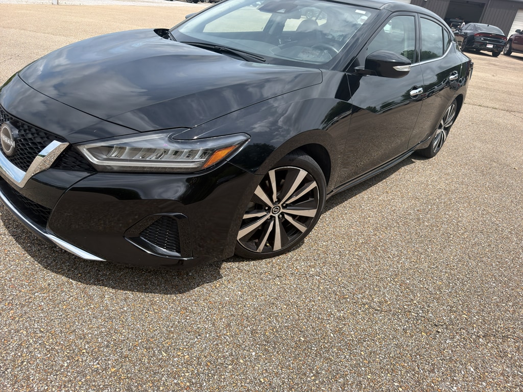 2023 Nissan Maxima SV's photo