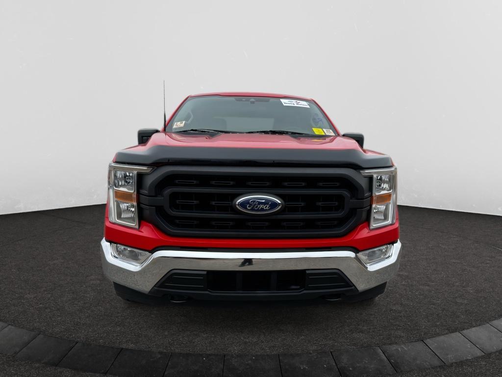 2021 Ford F-150 XL's photo
