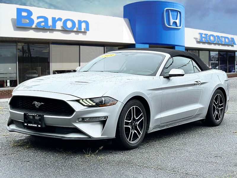 Used 2019 Ford Mustang EcoBoost Premium with VIN 1FATP8UH5K5172348 for sale in Patchogue, NY