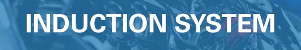 Induction System Service Induction System Service