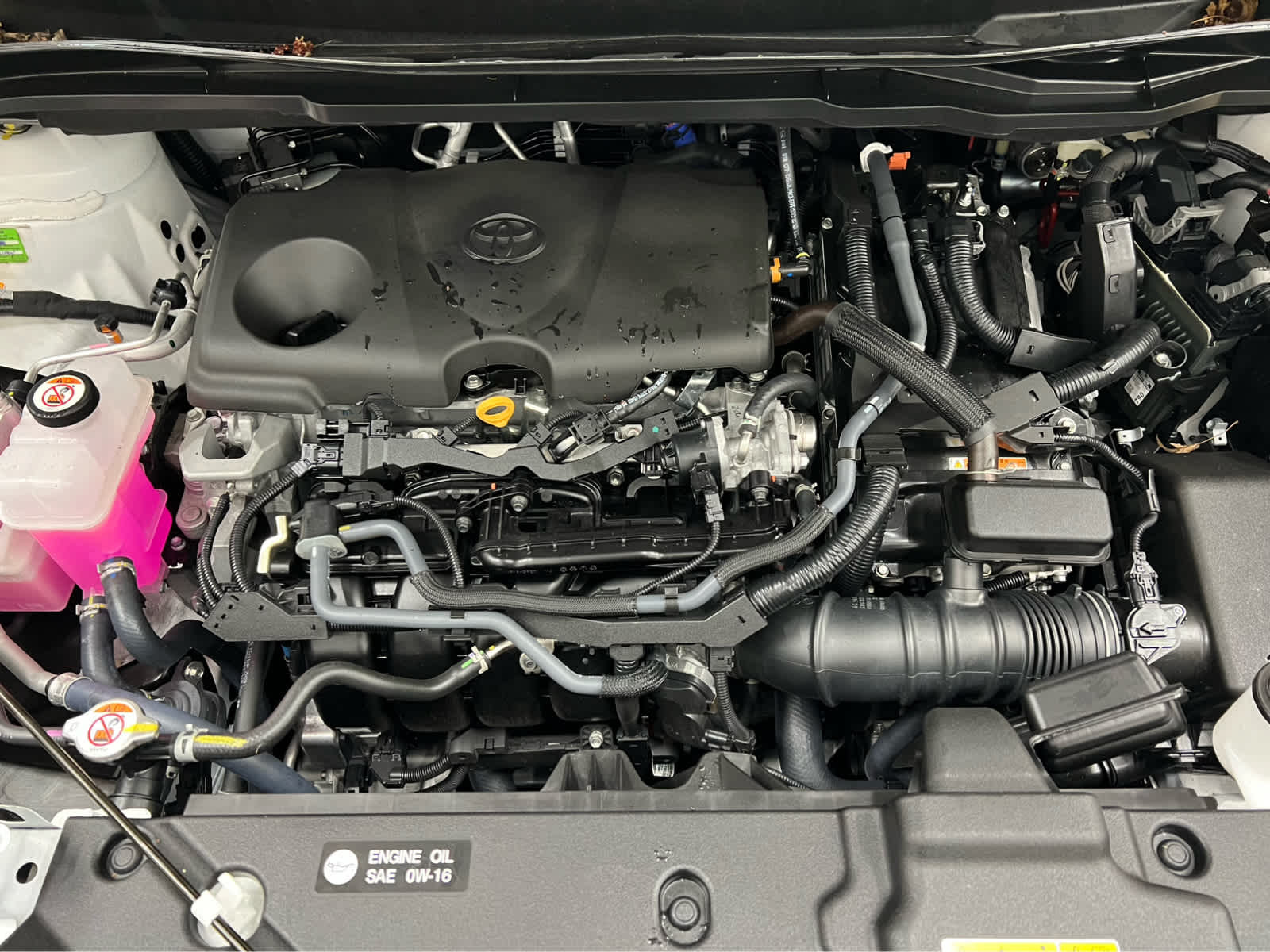 2025 Toyota Sienna LE - Photo 15