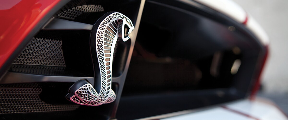 New Shelby Mustang Basil Ford of Niagara Falls