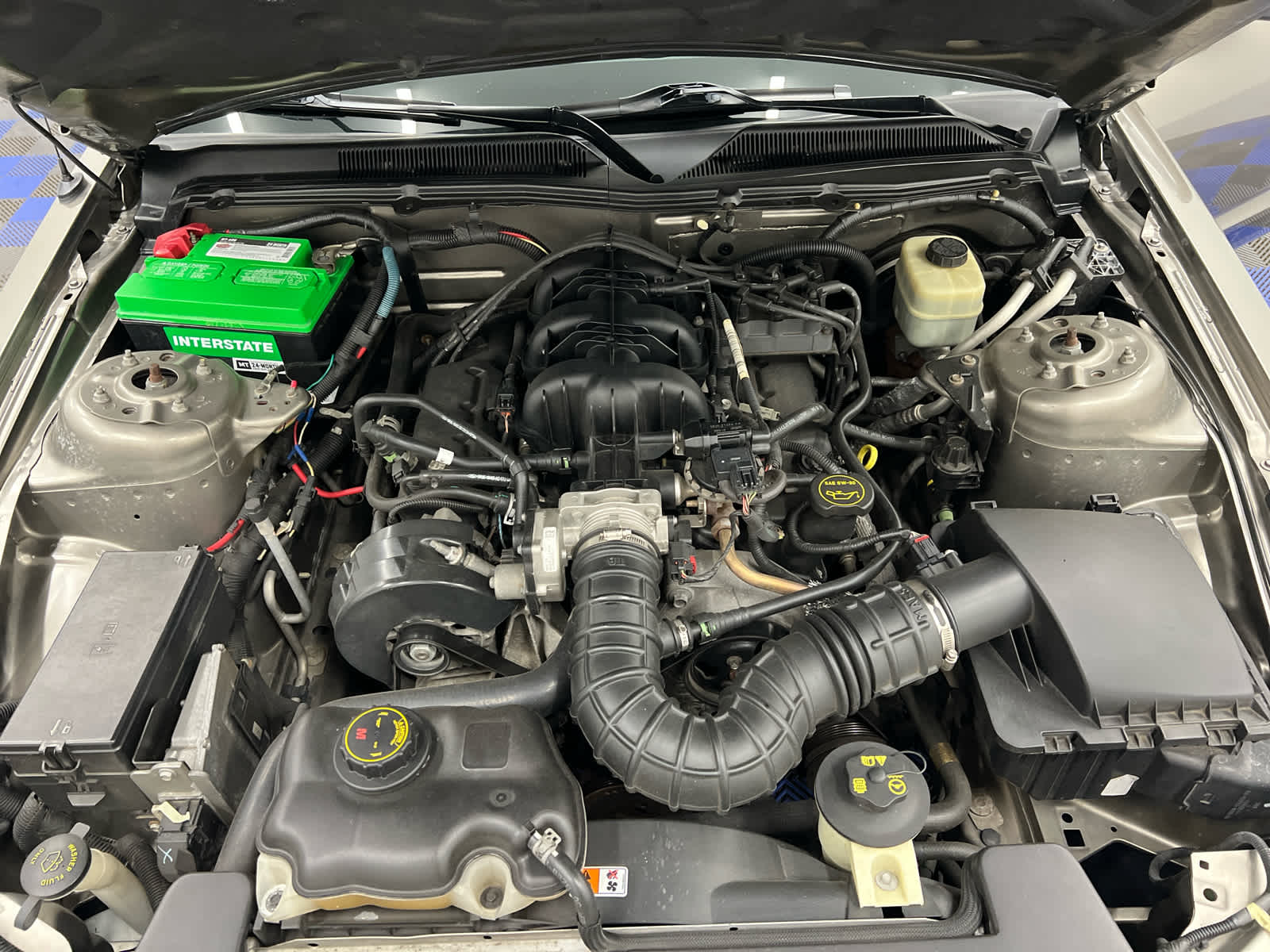 Used 2005 Ford Mustang Deluxe with VIN 1ZVFT80N655223176 for sale in Niagara Falls, NY