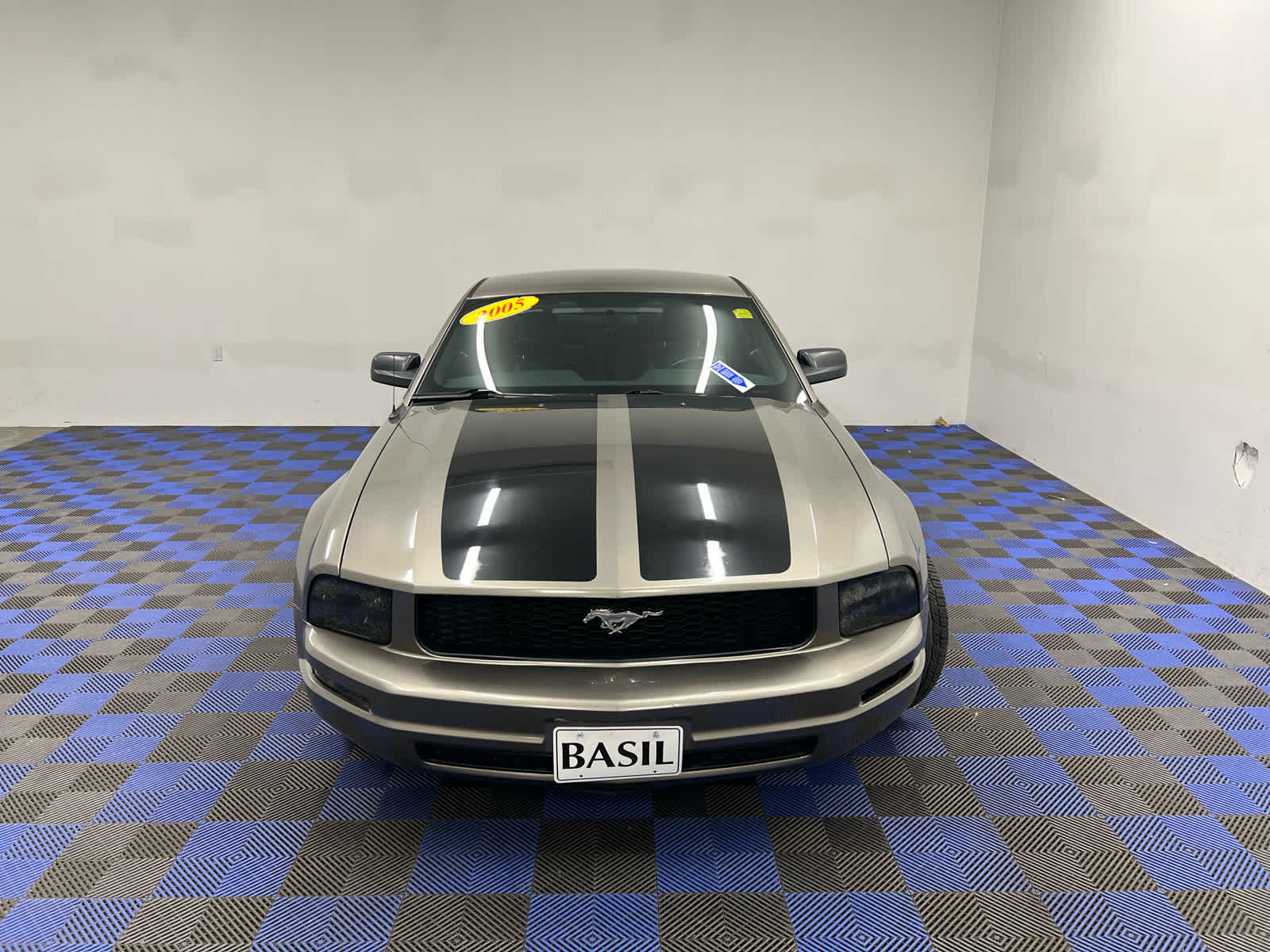1ZVFT80N655223176