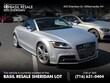 Audi TTS