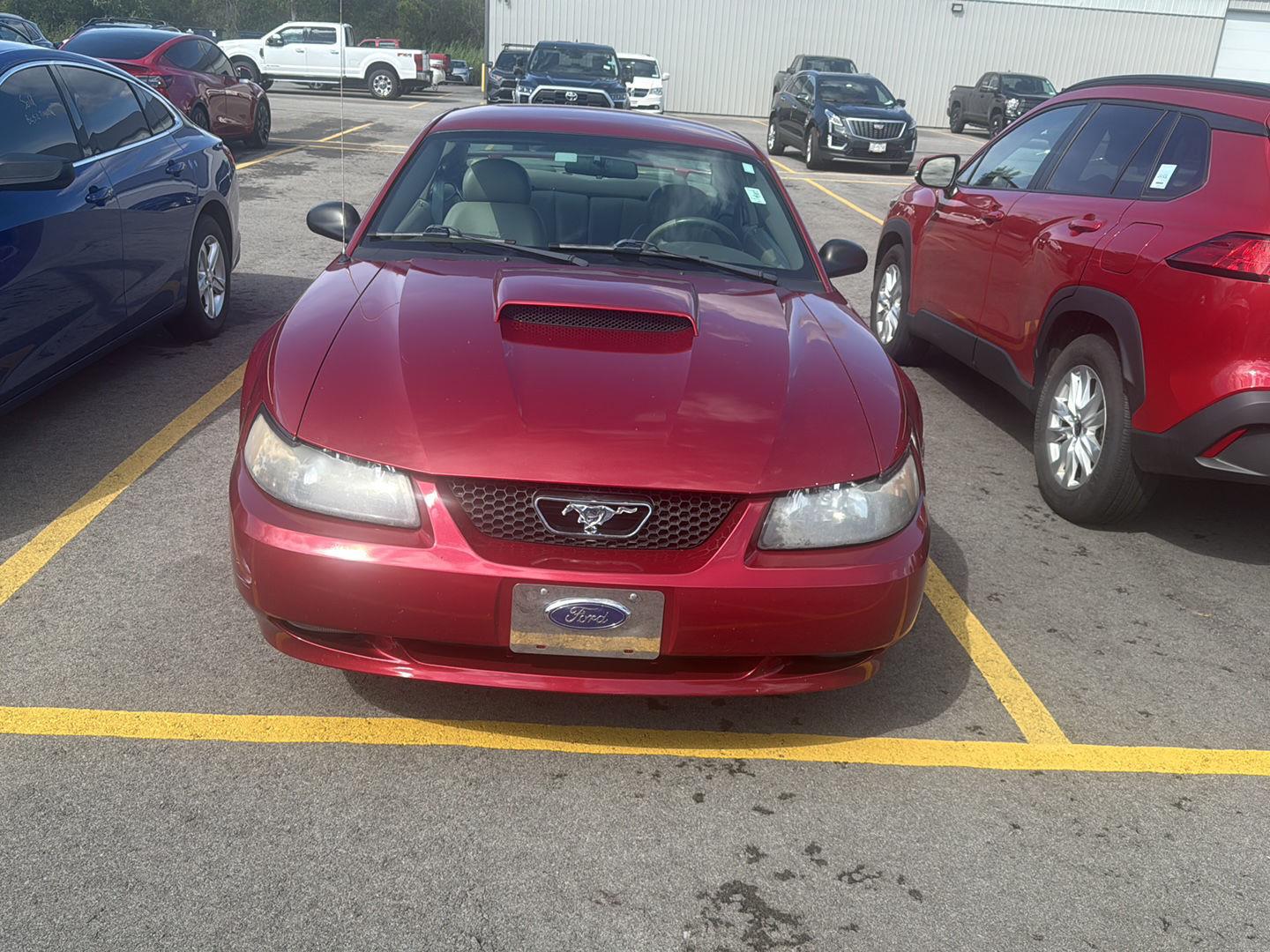 Used 2004 Ford Mustang GT Deluxe with VIN 1FAFP42X74F211101 for sale in Lockport, NY