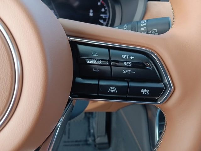 2025 Mazda CX-90 Premium Plus Package - Photo 25