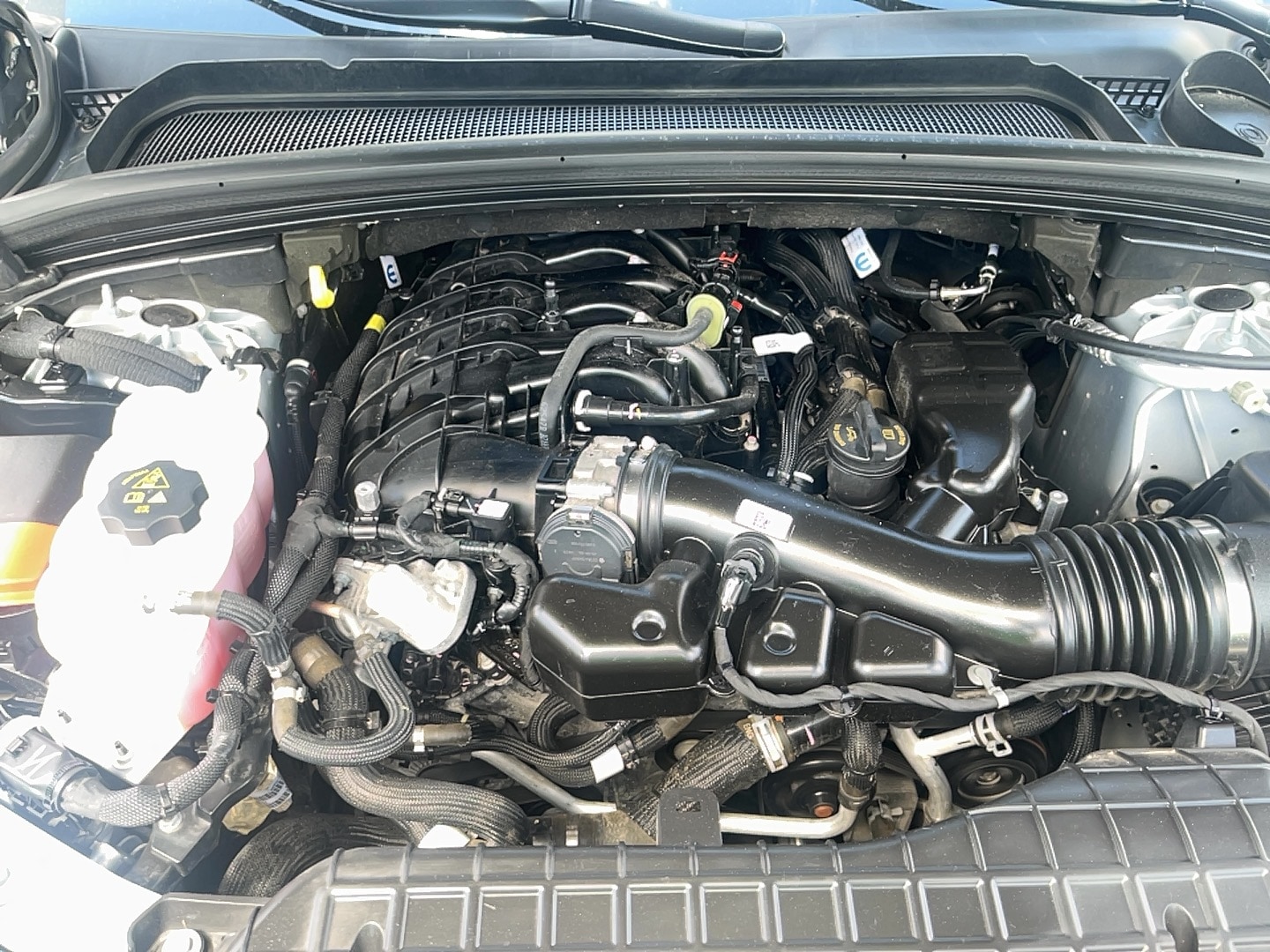 Photo 19