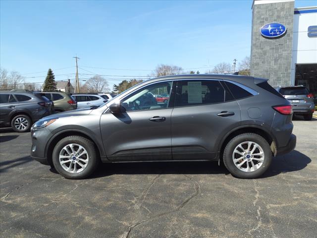 2022 Ford Escape SE photo 3